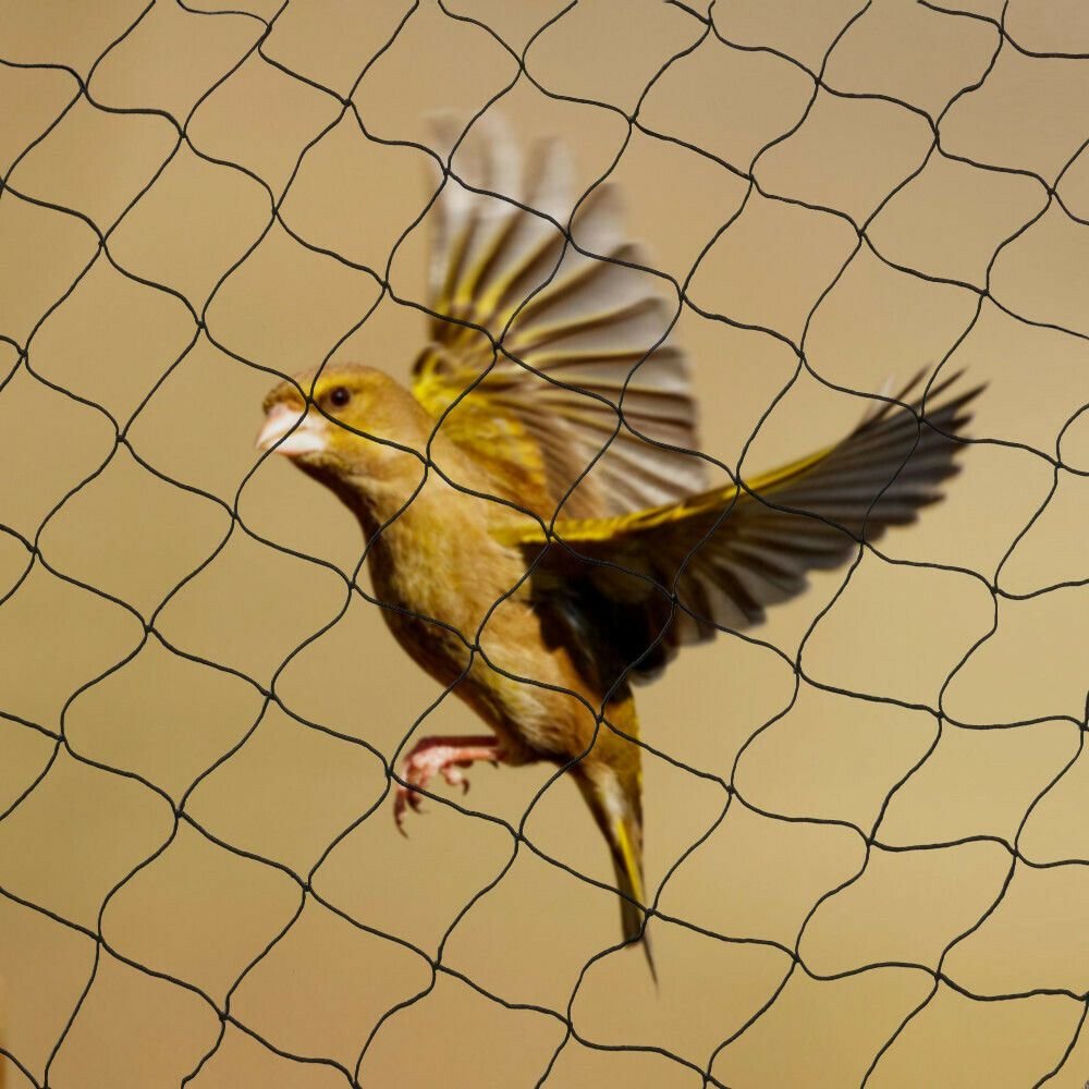 Bird Net Installation Bengaluru