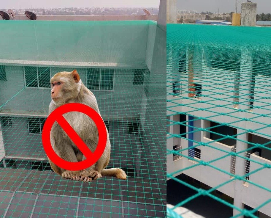 Monkey Safety Net Installation Bengaluru